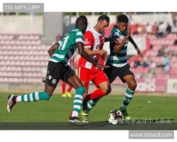 圣克拉拉与阿维斯的精彩对决结果揭晓赛季走势分析与球员表现总结